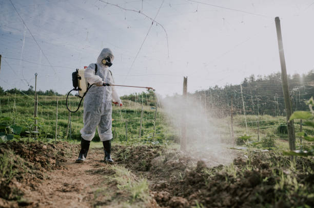 Reliable Pinardville, NH Pest Control Solutions