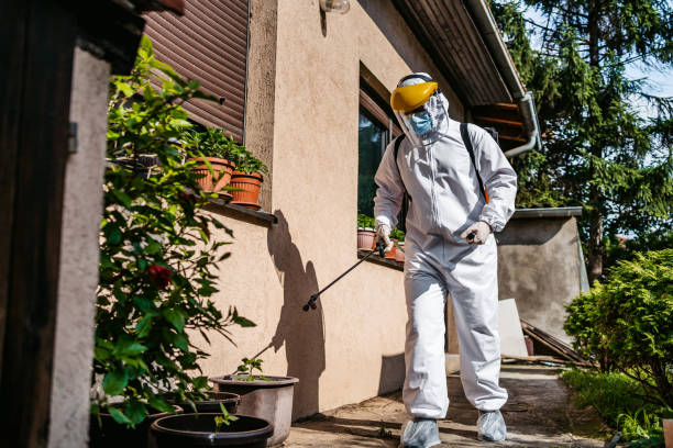 Best Mosquito Control Services  in Pinardville, NH