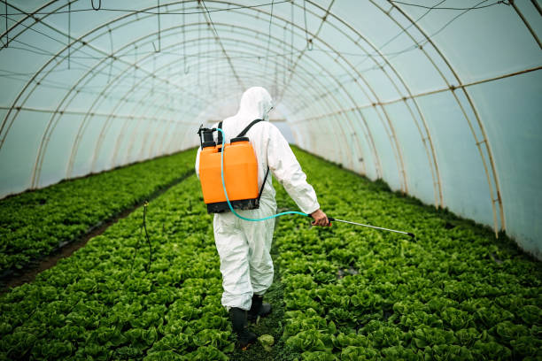 Best Pest Prevention Services  in Pinardville, NH