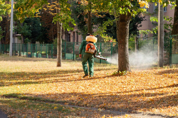 Best Rodent Control Near Me  in Pinardville, NH